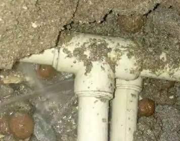 阿鲁科尔测漏水多少钱