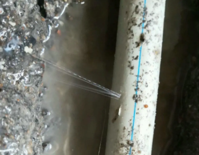 阿鲁科尔测漏水哪家好