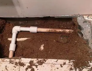 阿鲁科尔测漏水哪家好