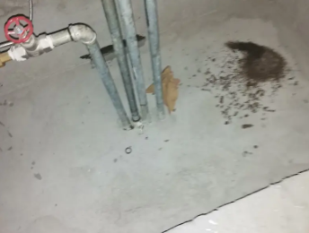 阿鲁科尔卫生间测漏水价格明细