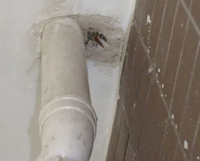 阿鲁科尔漏水检测哪家好